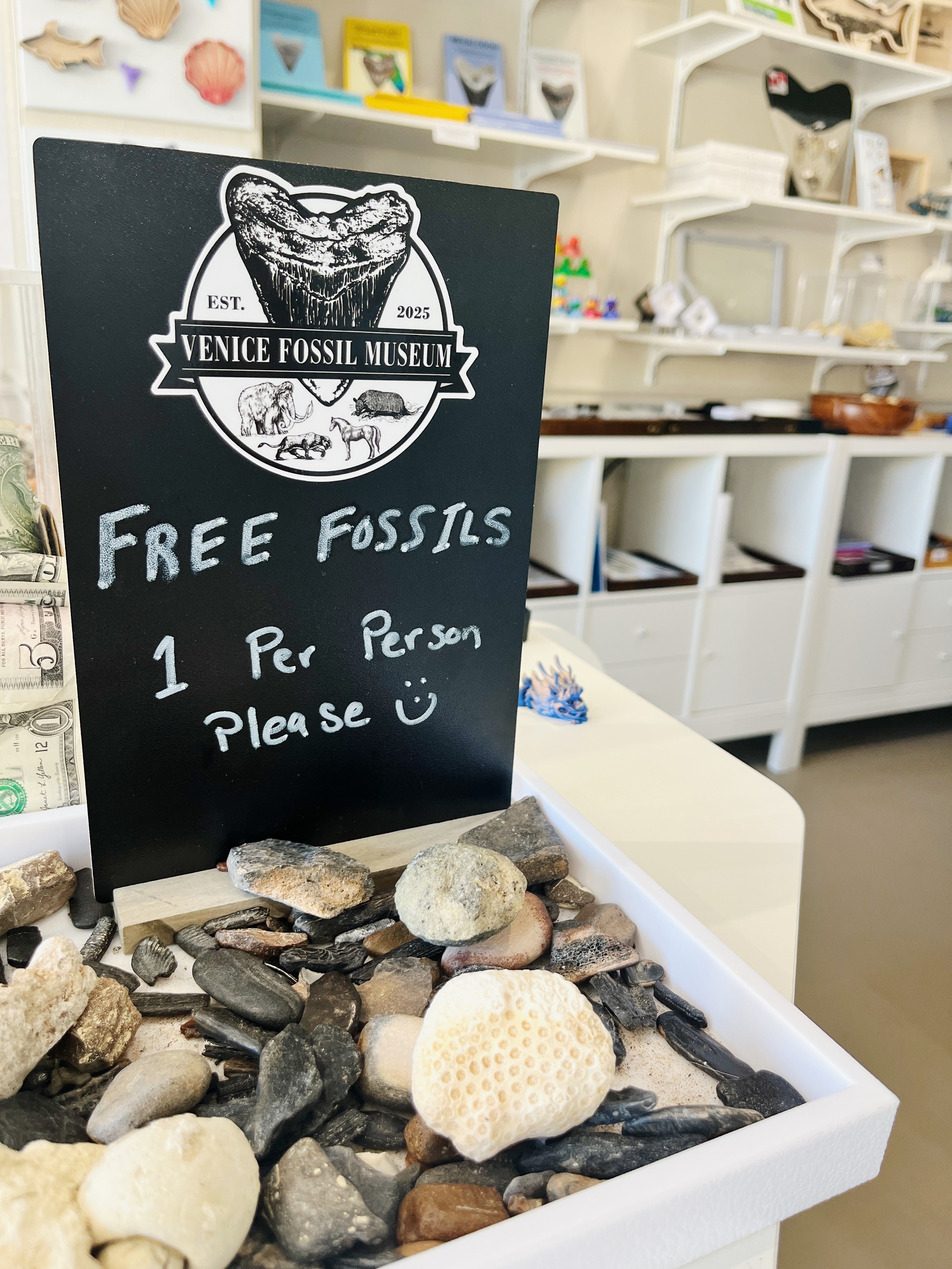 Free Fossils Program